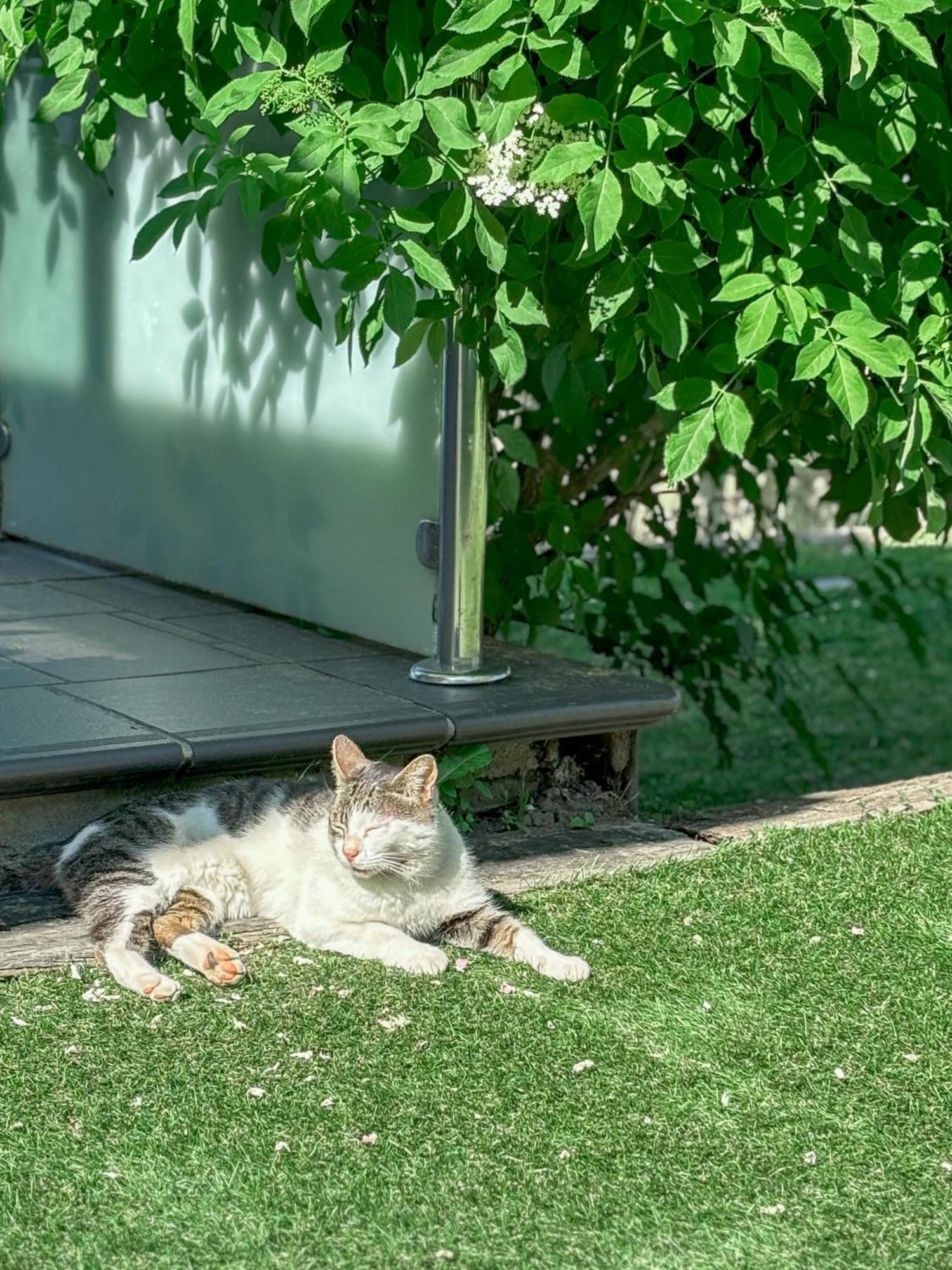 Villa Suances Tagle 외부 사진
